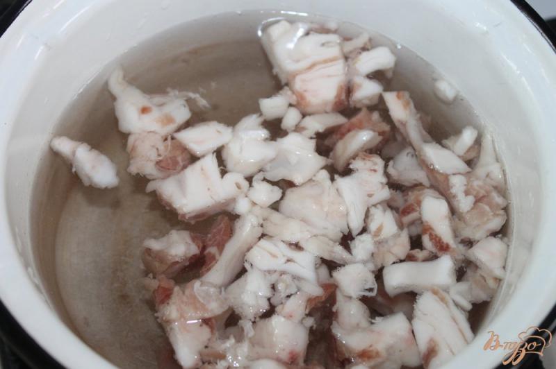 Фото приготовление рецепта: Борщ со свининой и пекинской капустой шаг №1