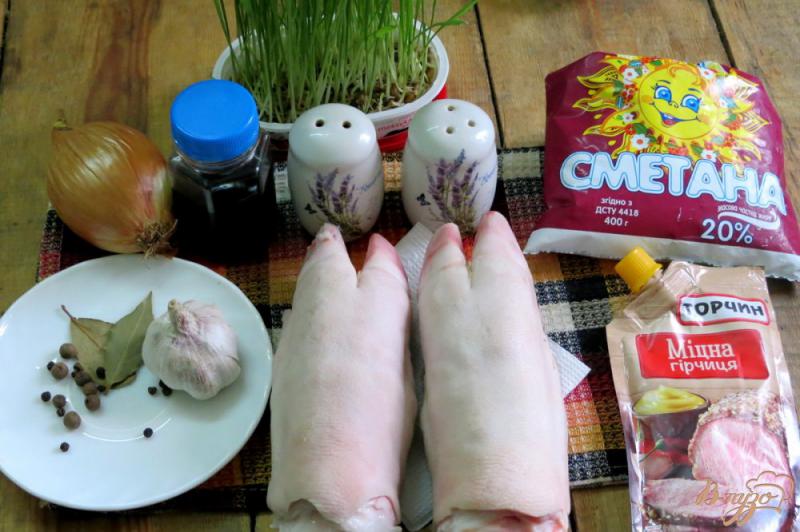 Фото приготовление рецепта: Свиные ножки в духовке шаг №1
