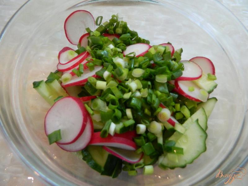 Фото приготовление рецепта: Салат из редиса и огурца со шпинатом шаг №4