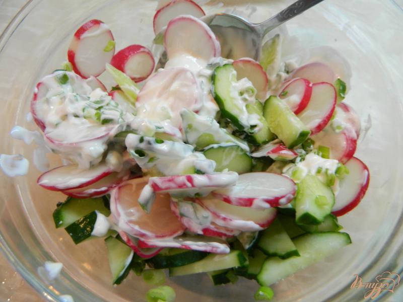 Фото приготовление рецепта: Салат из редиса и огурца со шпинатом шаг №5