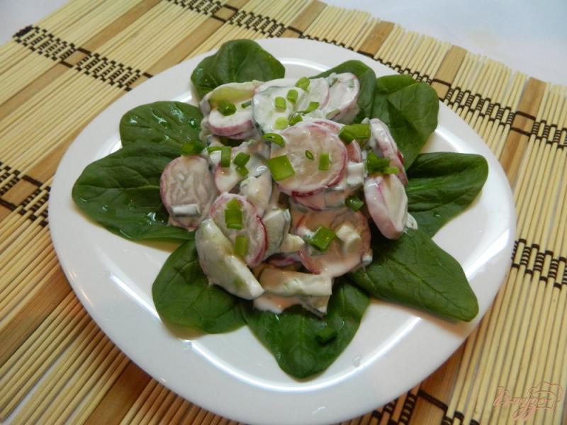 Фото приготовление рецепта: Салат из редиса и огурца со шпинатом шаг №7