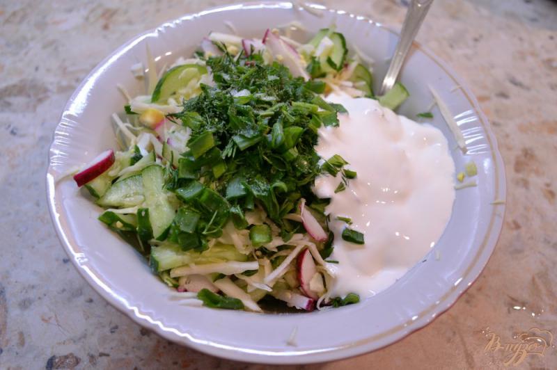 Фото приготовление рецепта: Весенний салат с капустой и яйцом шаг №3