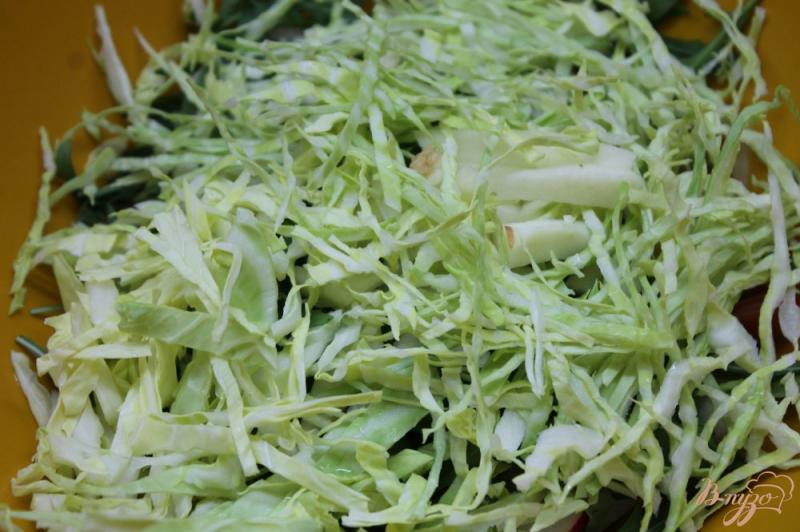 Фото приготовление рецепта: Салат с яблоком, молодой капустой и рукколой шаг №5