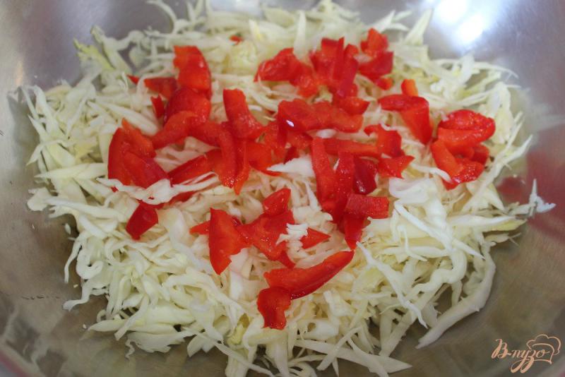 Фото приготовление рецепта: Салат из капусты с колбасой и перцем шаг №2