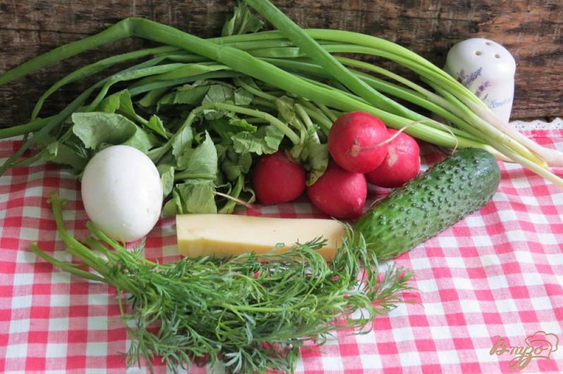 Фото приготовление рецепта: Салат из редиса, огурца и сыра шаг №1