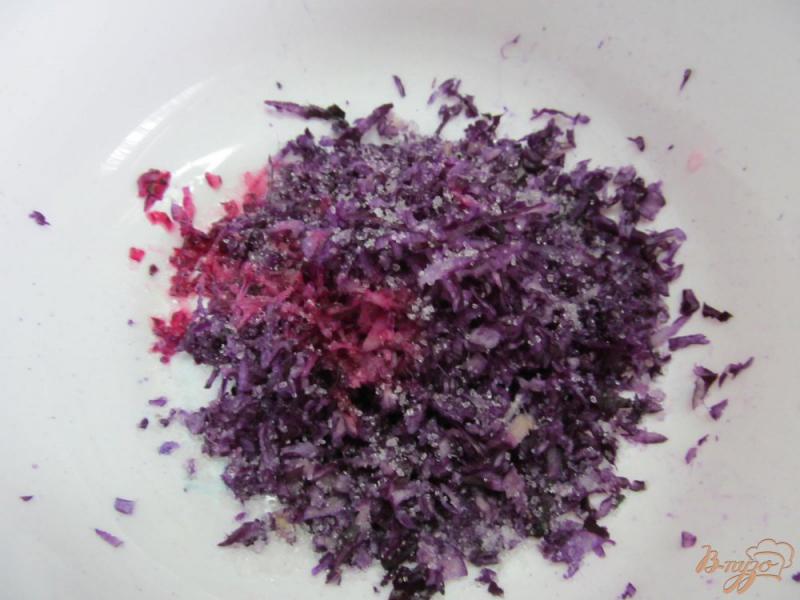 Фото приготовление рецепта: Салат из краснокочанной капусты шаг №1