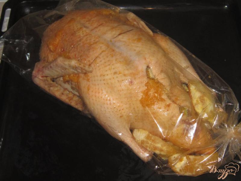 Фото приготовление рецепта: Утка запеченная в рукаве с яблоками и апельсинами шаг №7