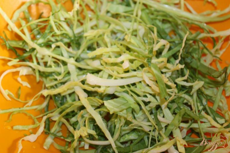 Фото приготовление рецепта: Капустный салат с редисом и огурцами шаг №1