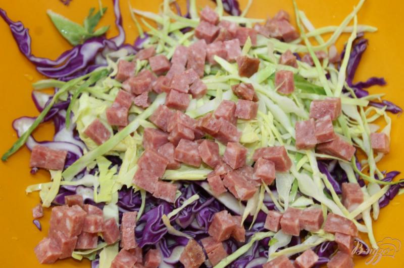 Фото приготовление рецепта: Салат с капустой, колбасой, зеленью и овощами шаг №2