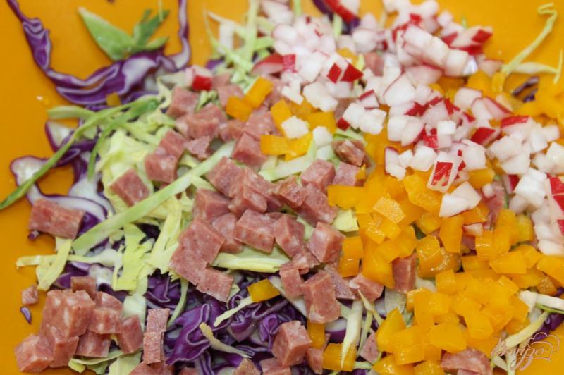 Фото приготовление рецепта: Салат с капустой, колбасой, зеленью и овощами шаг №3