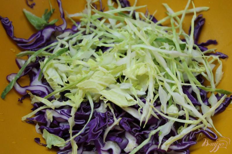 Фото приготовление рецепта: Салат с капустой, колбасой, зеленью и овощами шаг №1