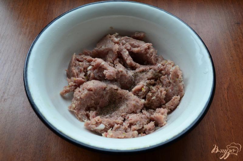 Фото приготовление рецепта: Суп со свиными фрикадельками и вермишелью шаг №4