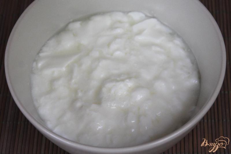 Фото приготовление рецепта: Йогурт с калиной и медом шаг №1