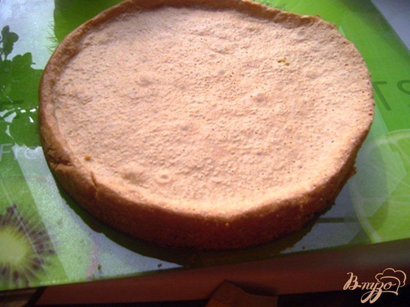 Фото приготовление рецепта: Бисквитный торт со смородиной и заварным кремом шаг №2