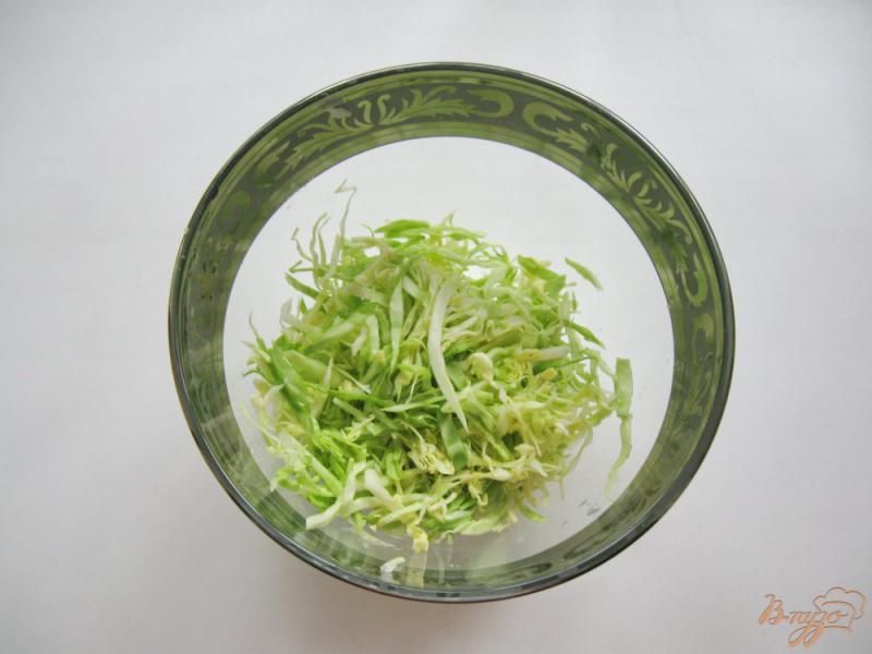 Фото приготовление рецепта: Салат с молодой капустой шаг №1