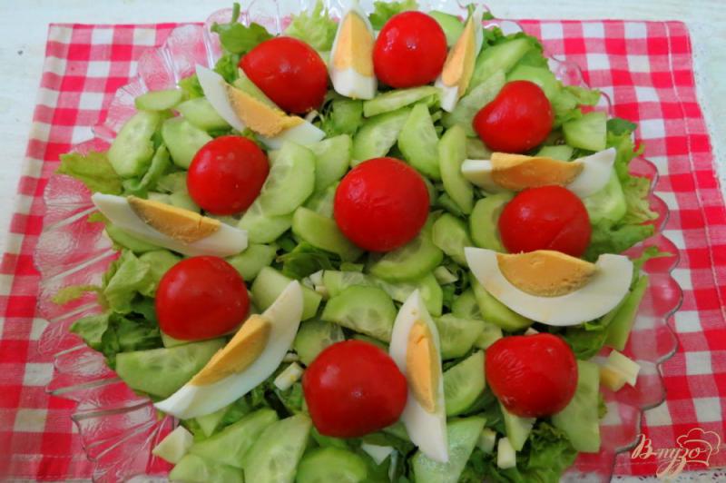 Фото приготовление рецепта: Салат весенний с копчёным сыром шаг №4