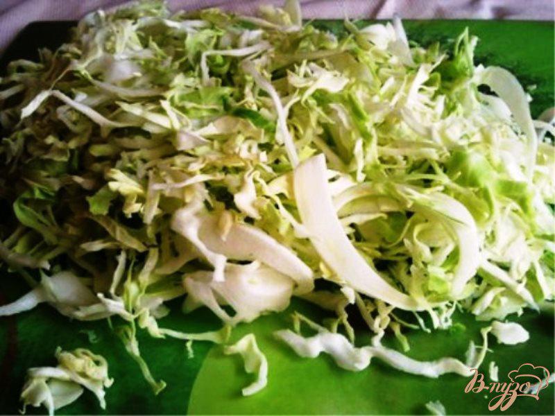Фото приготовление рецепта: Салат из свежей капусты с тмином шаг №1