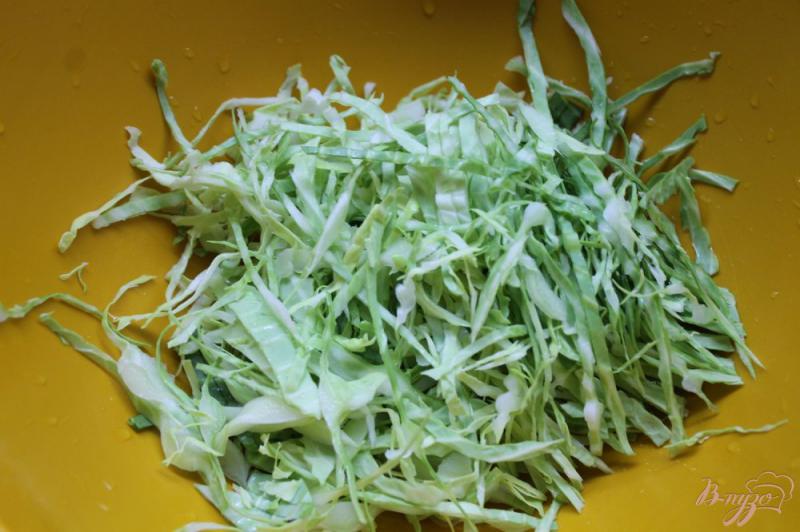 Фото приготовление рецепта: Салат из молодой капусты с редисом и французской горчицей шаг №1
