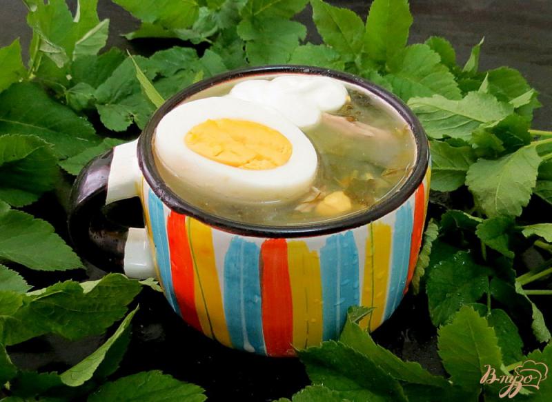 Фото приготовление рецепта: Щавелевый суп со шпинатом и картофельным пюре шаг №8