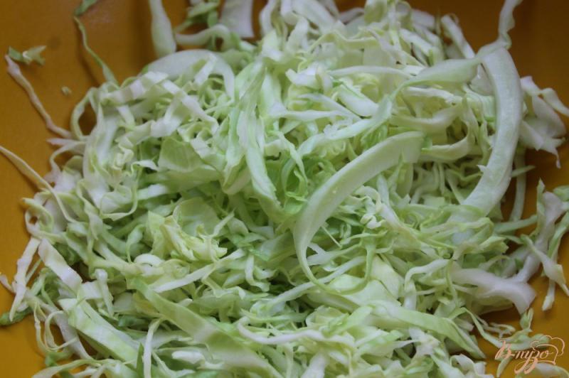 Фото приготовление рецепта: Домашний салат с капустой, сухариками и сыром шаг №1