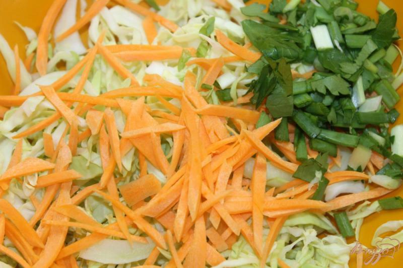 Фото приготовление рецепта: Домашний салат с капустой, сухариками и сыром шаг №2