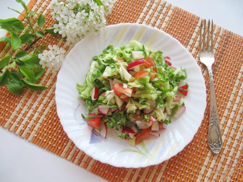 Фото приготовление рецепта: Салат с редисом и помидором шаг №8