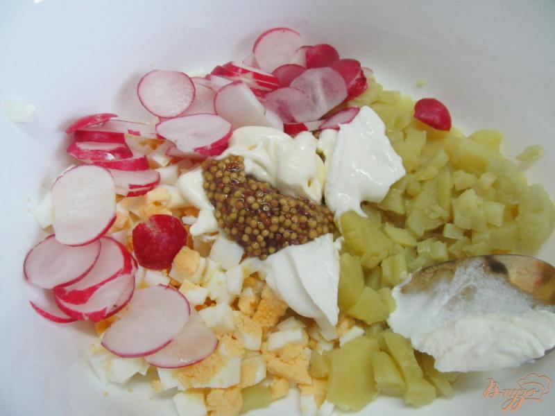 Фото приготовление рецепта: Картофельный салат с редисом щавелем шаг №2