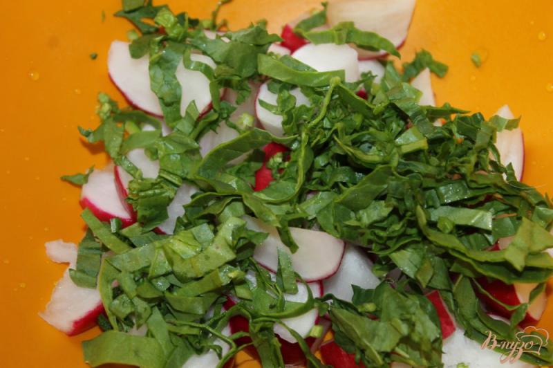Фото приготовление рецепта: Салат с редисом, зеленью и шпинатом шаг №2
