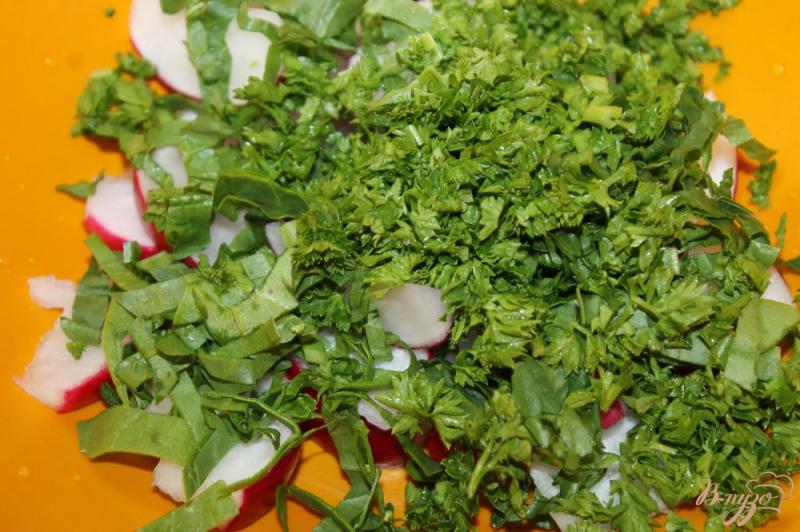 Фото приготовление рецепта: Салат с редисом, зеленью и шпинатом шаг №3