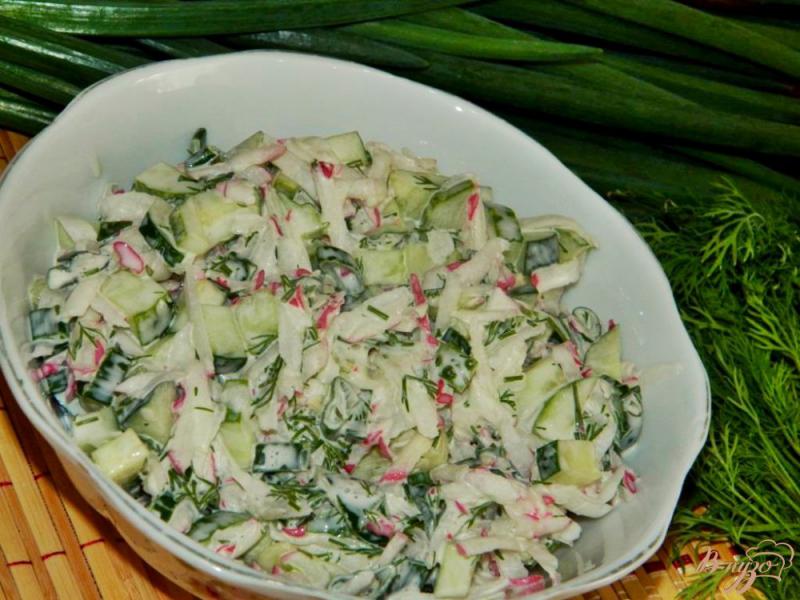 Фото приготовление рецепта: Салат из редиса с огурцом и зеленью шаг №4