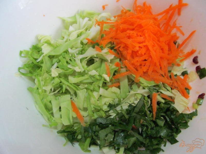 Фото приготовление рецепта: Овощной салат из молодой капусты с вишней шаг №2