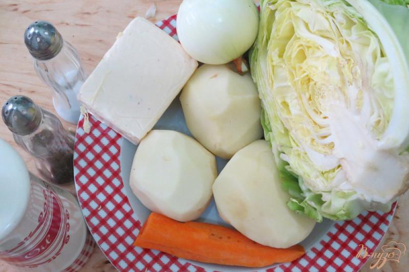 Фото приготовление рецепта: Суп с плавлеными сырками и молодой капустой шаг №1