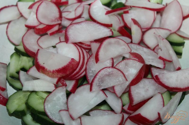 Фото приготовление рецепта: Овощной салат для пикника с бальзамической заправкой шаг №2