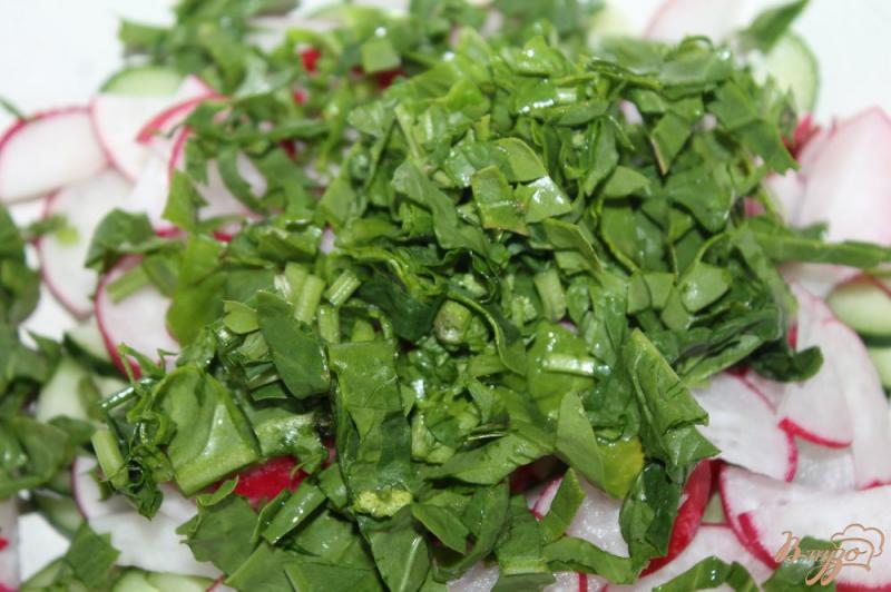 Фото приготовление рецепта: Овощной салат для пикника с бальзамической заправкой шаг №3