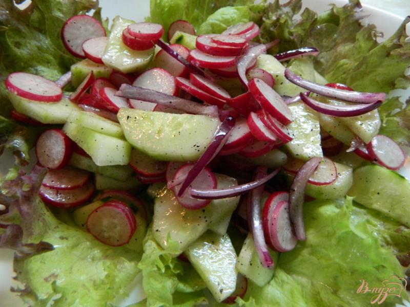 Фото приготовление рецепта: Салат с огурцом, редисом и маринованным имбирем шаг №5