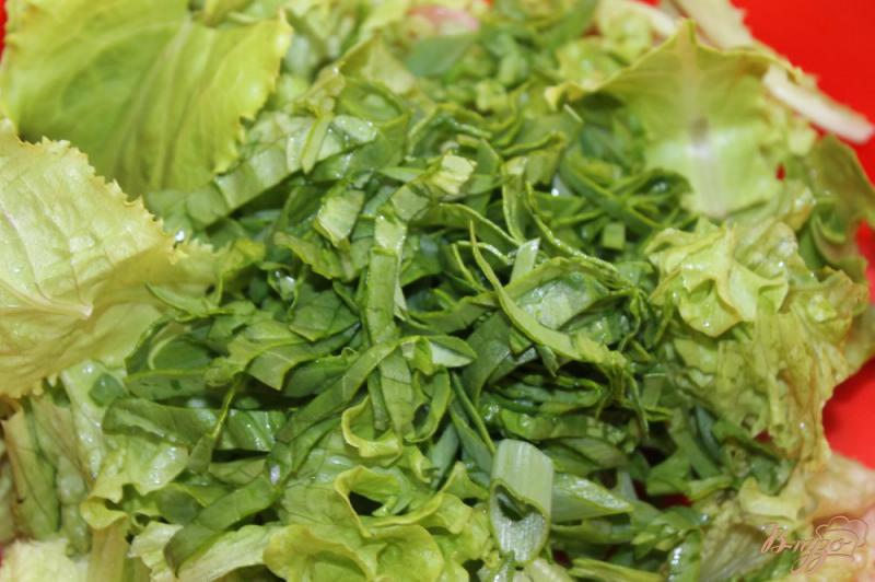 Фото приготовление рецепта: Зеленый салат с помидорами и кедровыми орешками шаг №3
