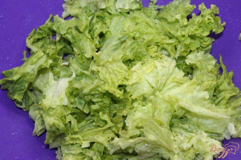 Фото приготовление рецепта: Легкий «фитнес салат» с маринованными сливами шаг №1
