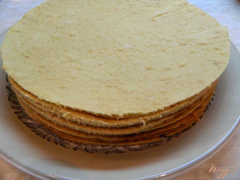 Фото приготовление рецепта: Торт Медовик со сметанным кремом шаг №9