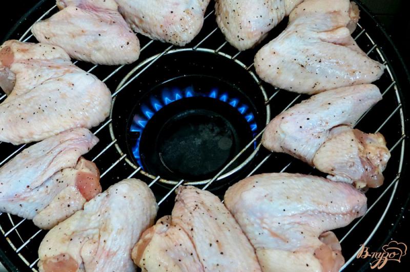 Фото приготовление рецепта: Куриные крылья на гриль газе шаг №5
