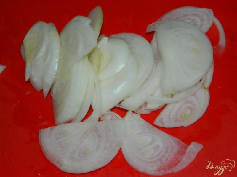 Фото приготовление рецепта: Курица с луком и соевым соусом шаг №2