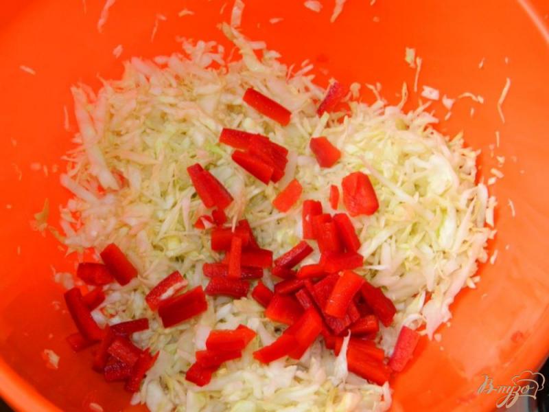 Фото приготовление рецепта: Салат из свежей капусты с болгарским перцем шаг №2