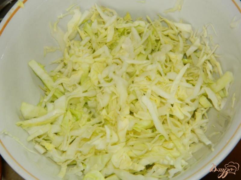 Фото приготовление рецепта: Овощной салат с капустой шаг №1