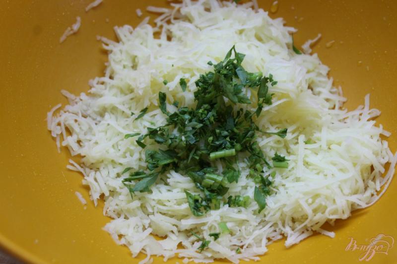 Фото приготовление рецепта: Картофельные шарики с зеленью и сыром шаг №3
