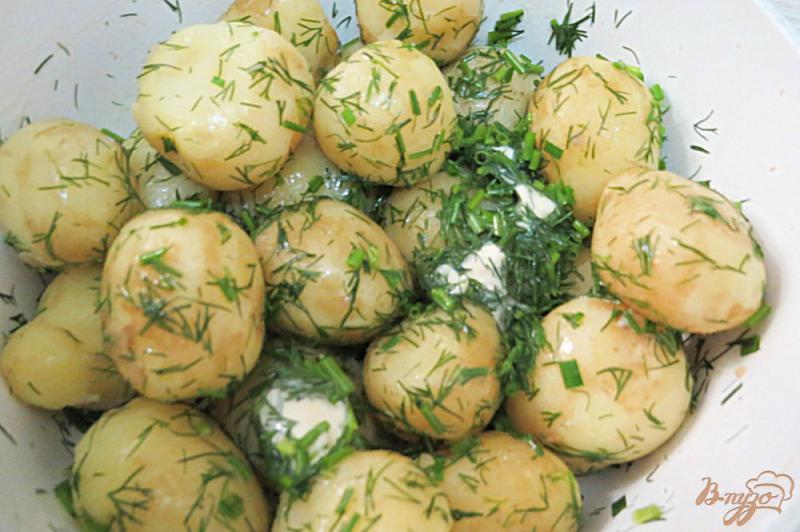 Фото приготовление рецепта: Молодой картофель тушёный в сметане шаг №6