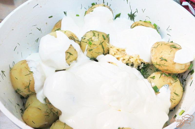 Фото приготовление рецепта: Молодой картофель тушёный в сметане шаг №8