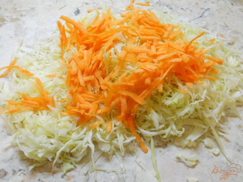 Фото приготовление рецепта: Салат из капусты и моркови с уксусом шаг №1