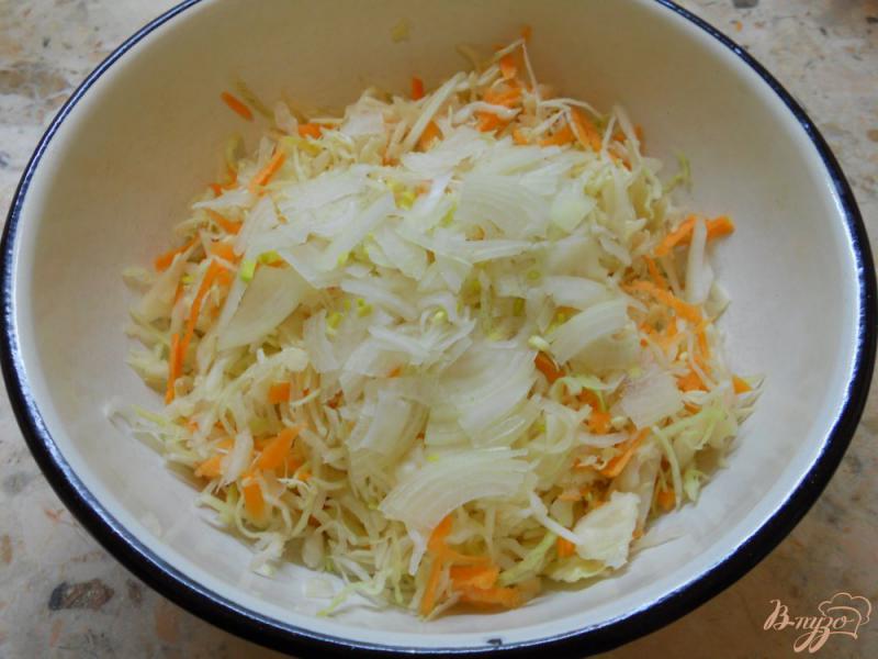 Фото приготовление рецепта: Салат из капусты и моркови с уксусом шаг №2
