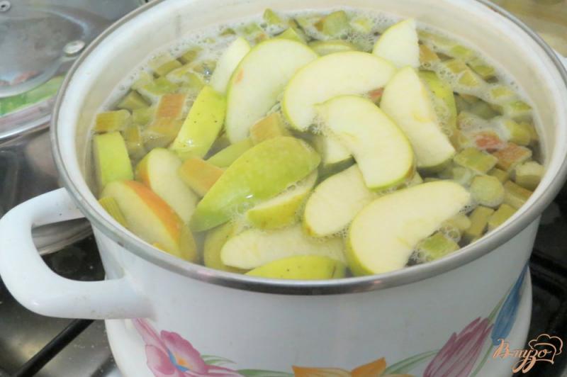 Фото приготовление рецепта: Компот из бузины, яблок и ревеня шаг №5