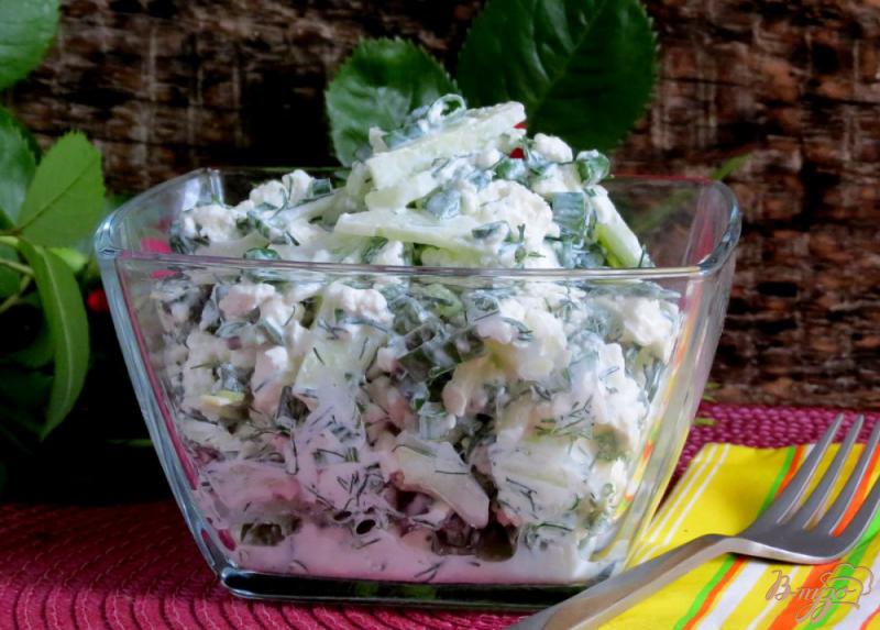 Фото приготовление рецепта: Салат из творога с зелёным луком и огурцами шаг №7