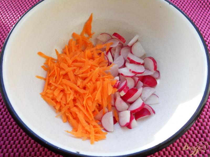 Фото приготовление рецепта: Салат из капусты, моркови и редиса шаг №1